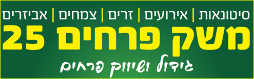 logo4site