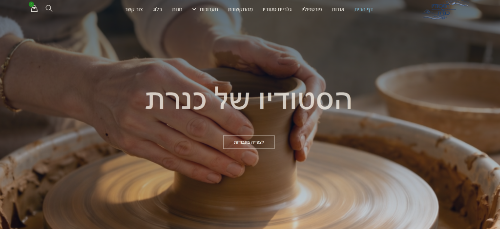 צילום מסך של האתר kinneretart.co.il